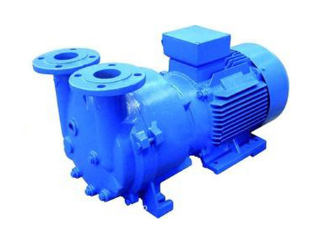 2BV Series Water Ring Vacuum Pump