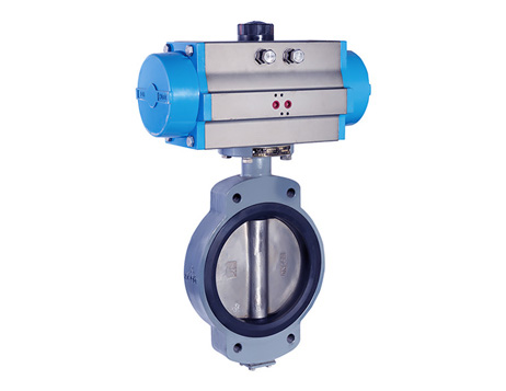 Marine center-pivoted butterfly valve