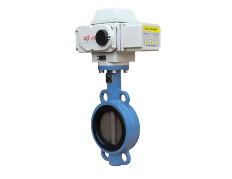 Marine electric control butterfly valve